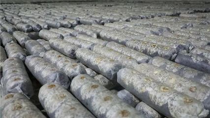 山陽、商南6個重點項目接受全市&ldquo;檢閱&rdquo;