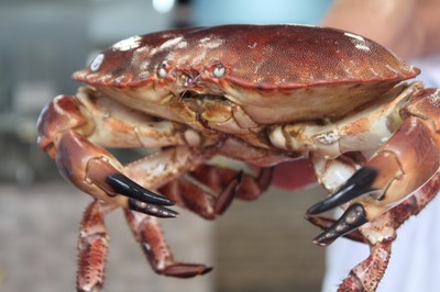 低至6.8折！徹底被啟東這家蒸汽海鮮店'蒸'服！