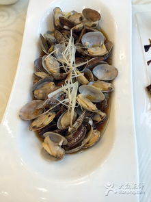 石浦海鮮寧海漁港 東海之濱的鮮味盛宴