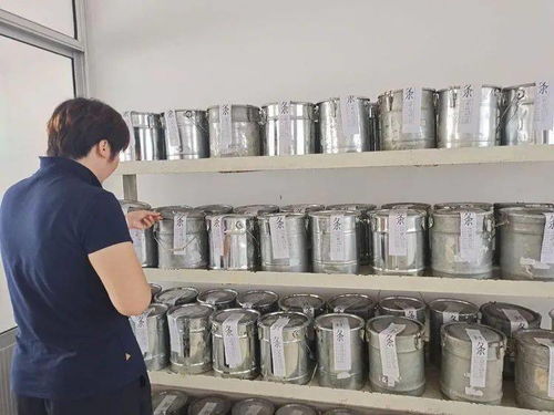 區建設局 控源頭 夯基礎 全力確保房屋建筑工程質量