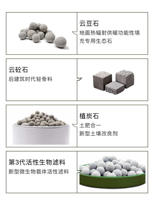 世界環境日 環保始于心,中勁踐于行