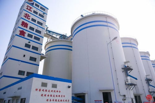 新質(zhì)生產(chǎn)力賦能山東糧企 打造糧食產(chǎn)業(yè)高質(zhì)量發(fā)展 動力引擎